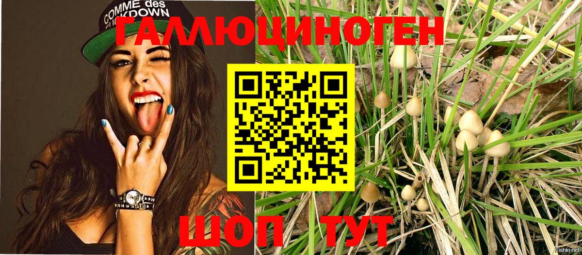 Псилоцибиновые грибы Psilocybe  Вход с VPN  Псилоцибиновые грибы мухоморы  Старая Купавна 